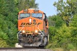 BNSF 6032